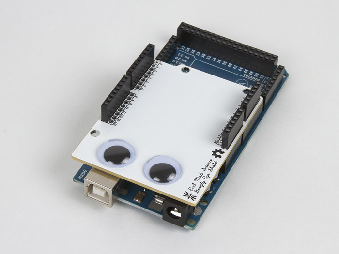 The Googly Eye Shield - Click Image to Close